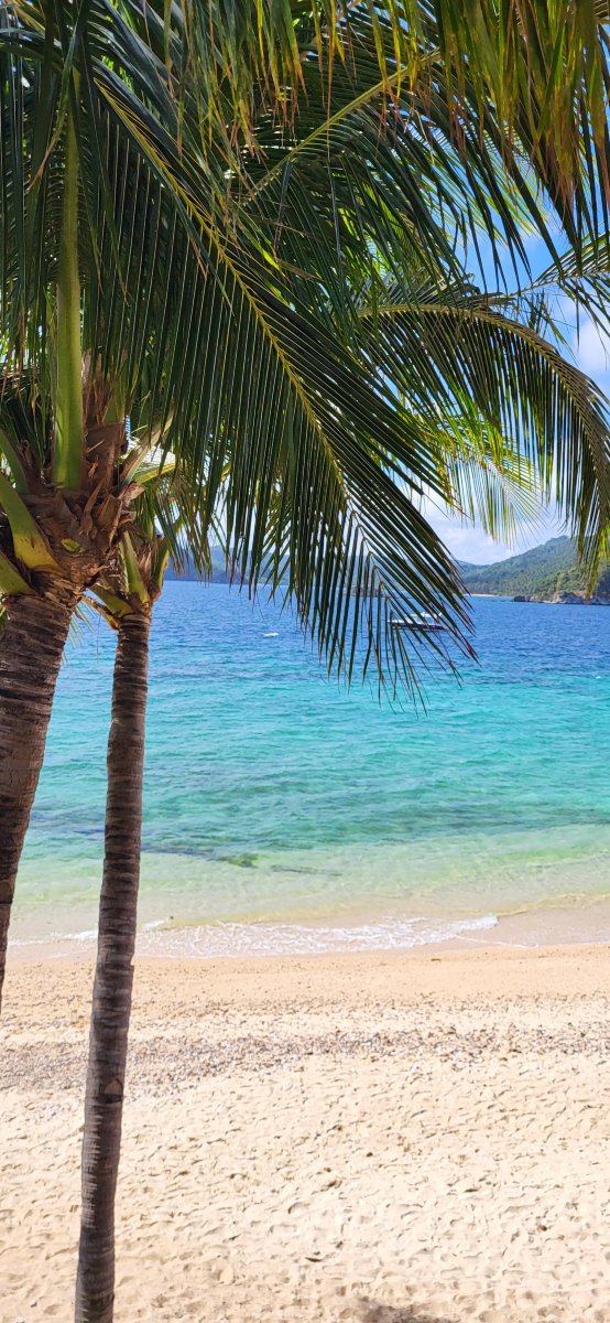 邦古拉斯岛艾尔尼多度假村-官方