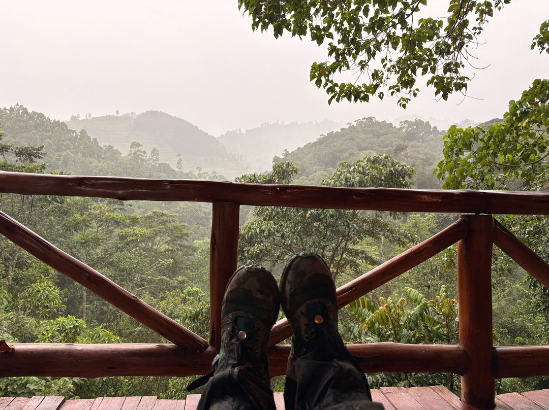 RAW Africa Eco Tours-威廉斯镇必去景点