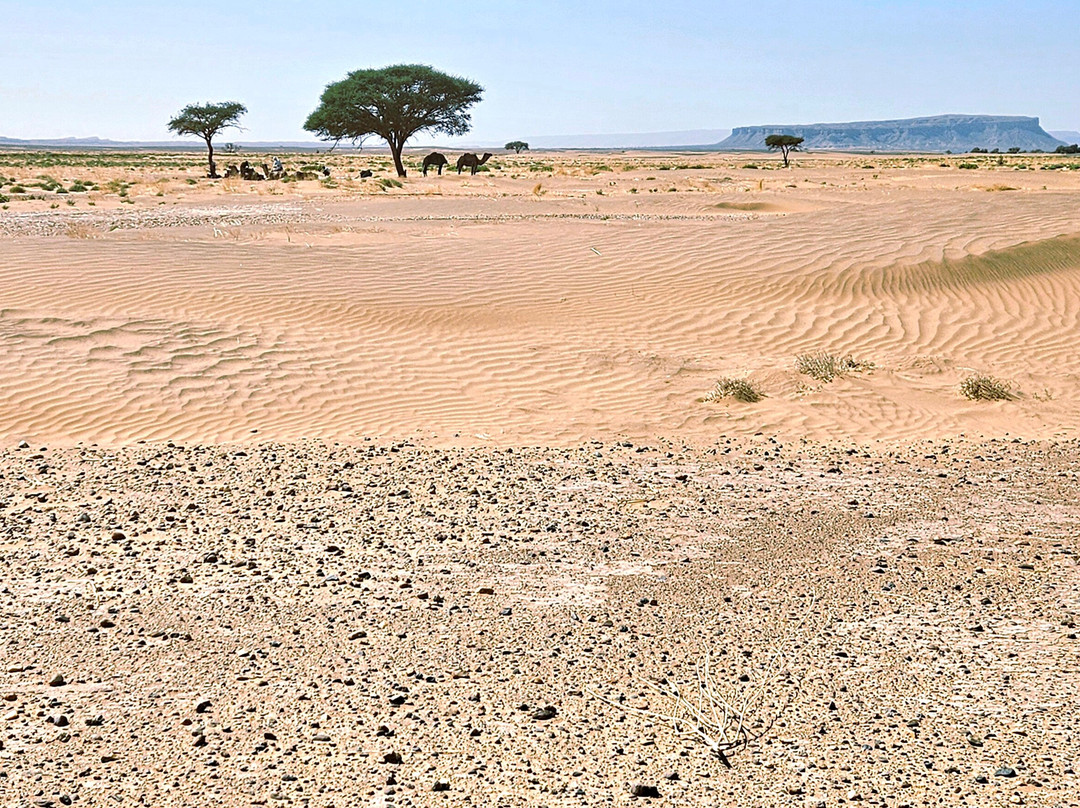 Wild Morocco-扎古拉必去景点