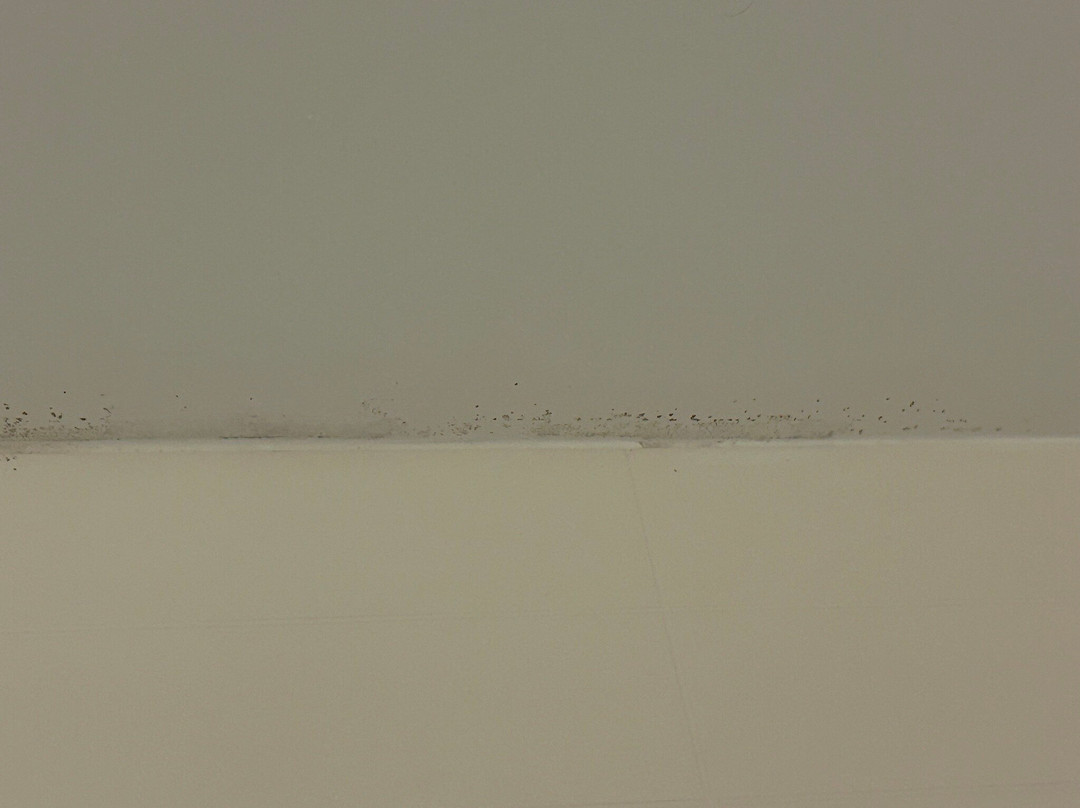 塔斯卡卢萨万枫酒店主图