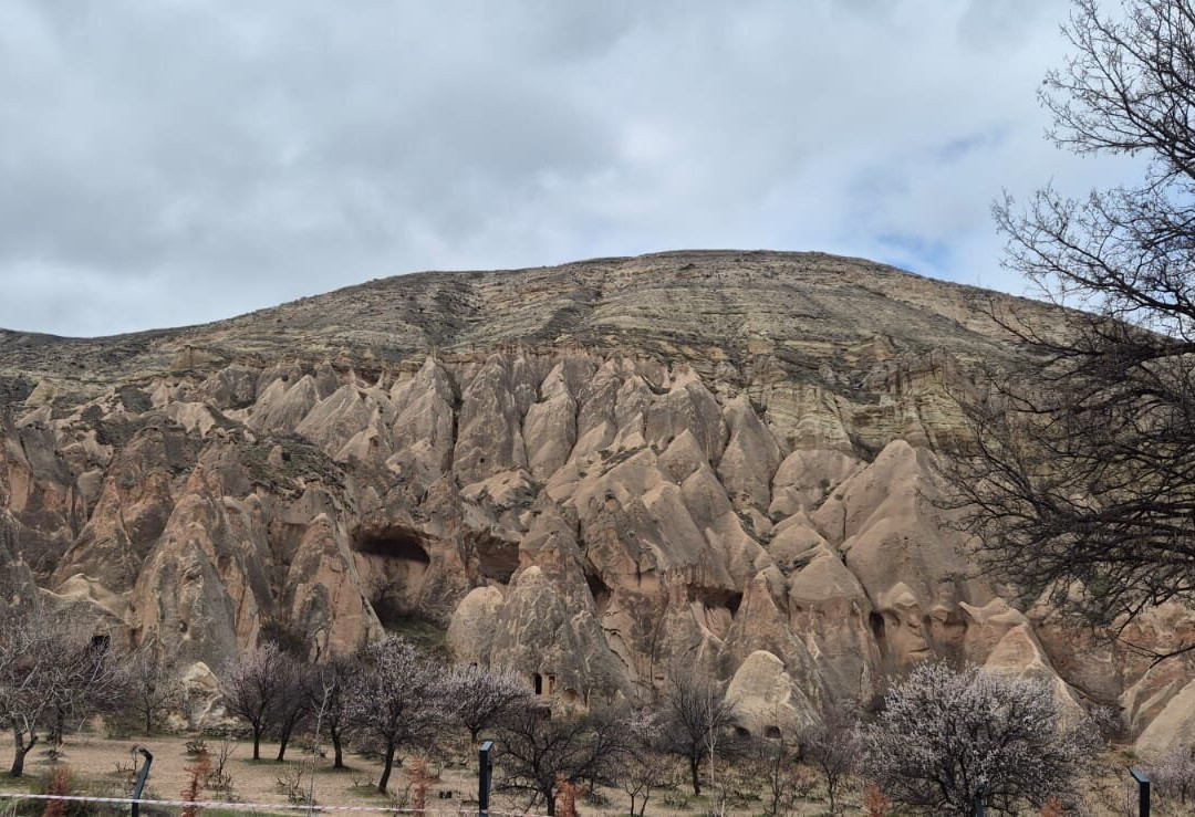 凯梅尔翰凯芙套房酒店主图