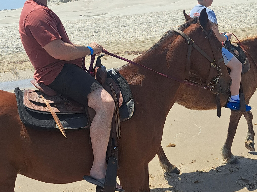 South Padre Island Adventure Park-南帕诸岛必去景点