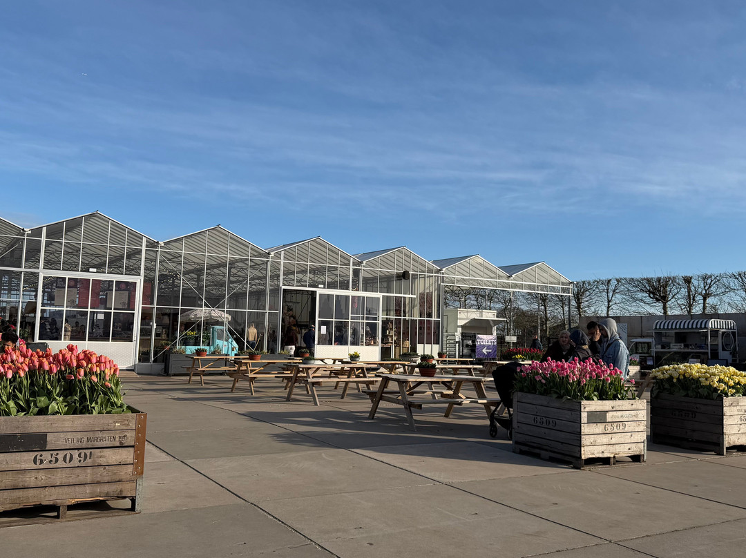 The Tulip Barn-Hillegom必去景点