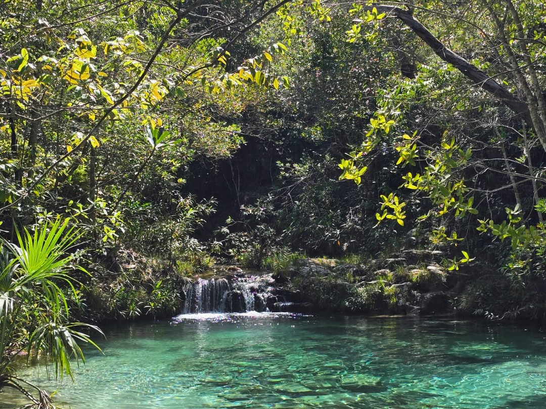 Serra do Roncador-Barra do Garcas必去景点