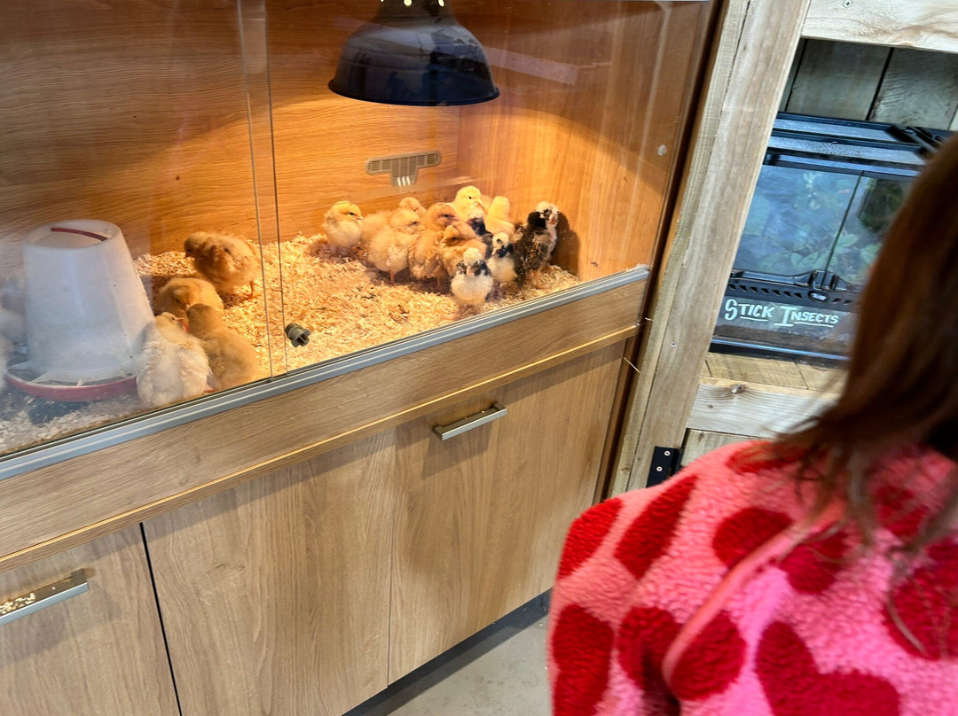 Monk Park Farm-Bagby必去景点