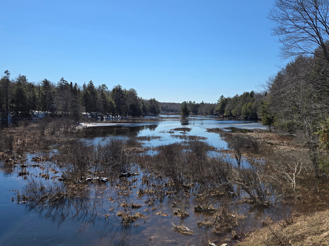 Water's Edge Inn主图