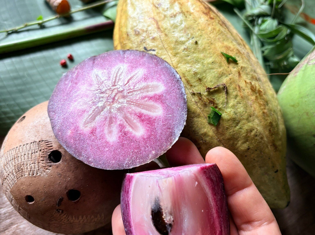 World Evasion-圣何塞必去景点