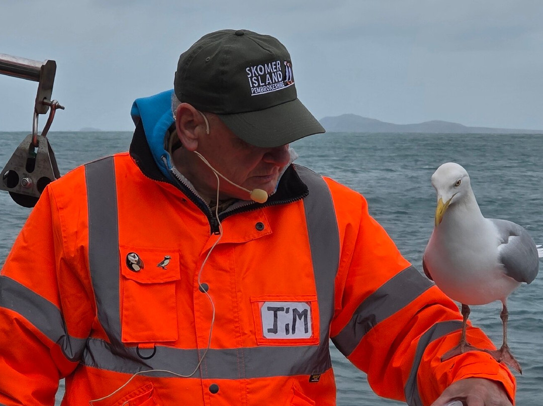Pembrokeshire Islands Boat Trips-Marloes必去景点