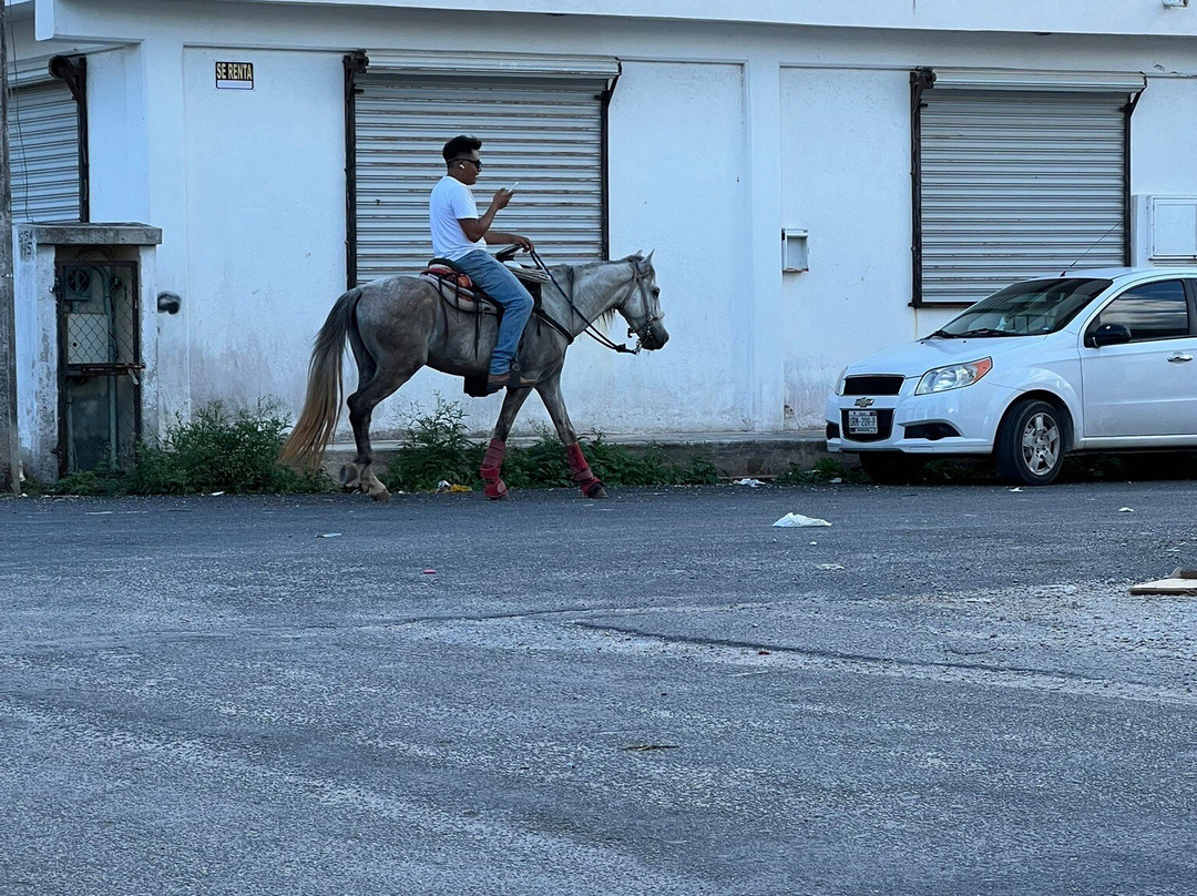 Tacos Y Pastas, Luis Y Marisol