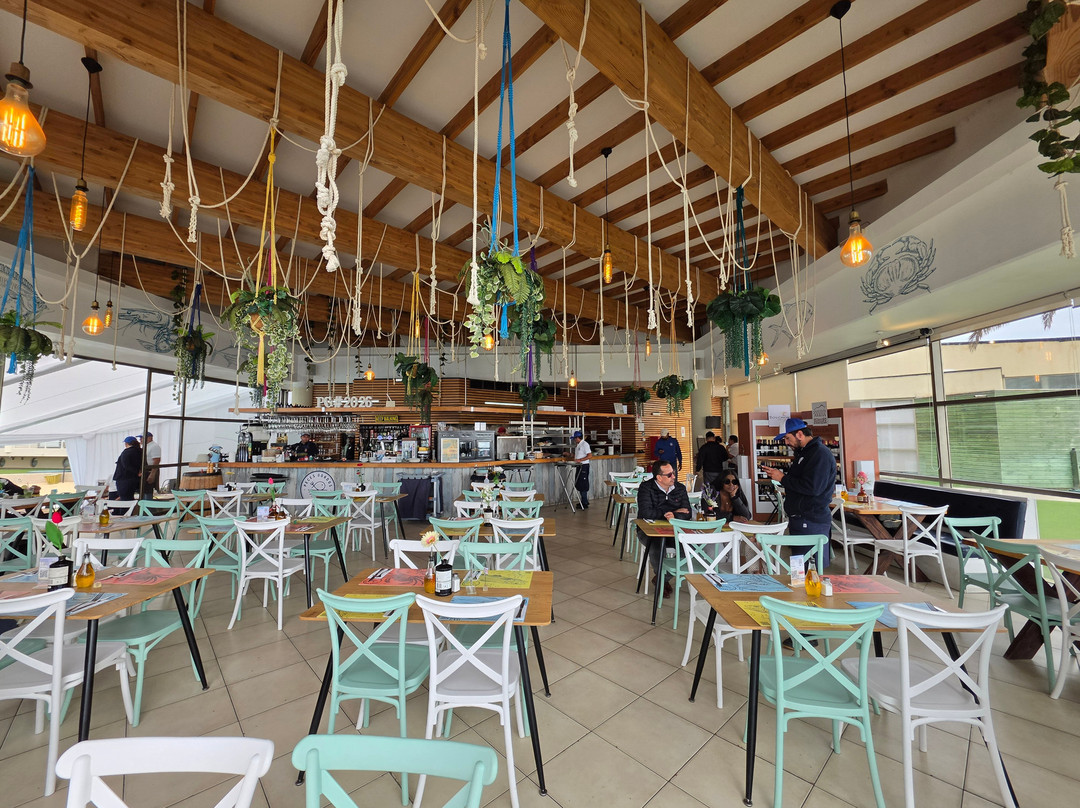 Zerando o Chile-圣地亚哥必去景点