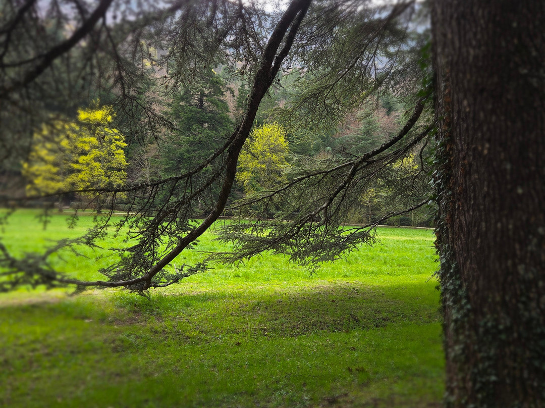 L’Auberge des Dauphins-Saou必去景点