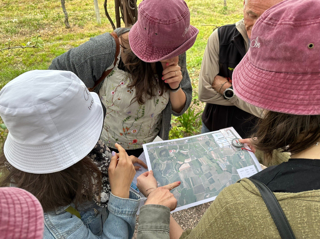 MilleMonti-布雷西亚必去景点