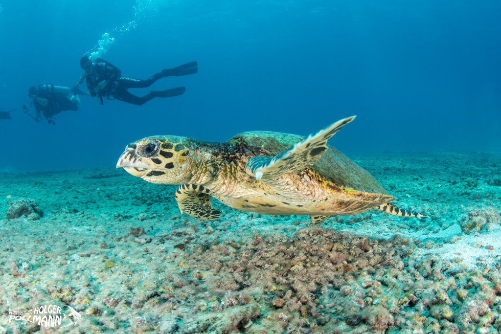 Scuba Coiba-Santa Catalina必去景点