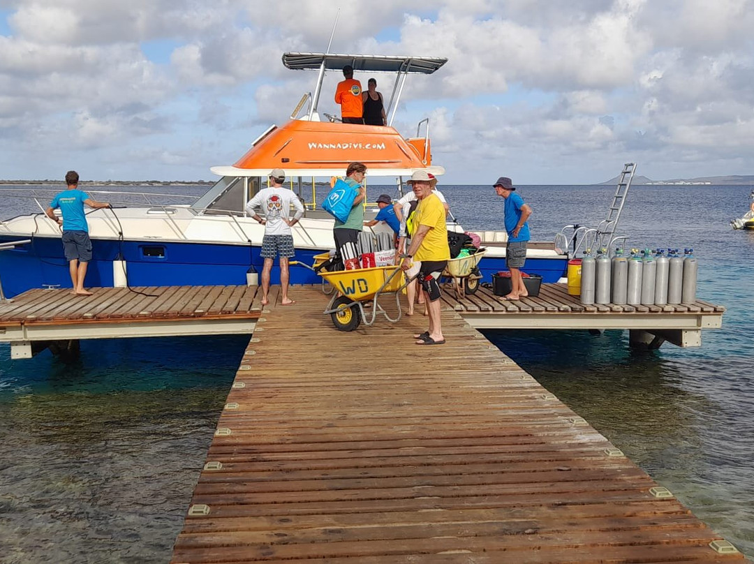 Wannadive Bonaire-Kralendijk必去景点