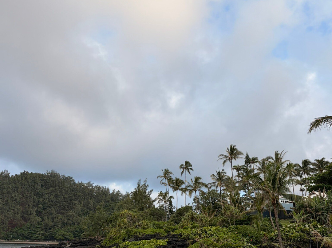 哈纳凯度假村凯拉尼家庭旅馆套房主图