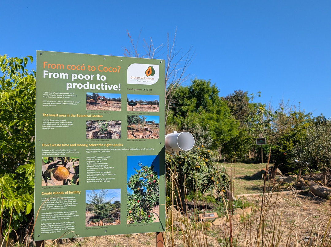 Orchard Of Flavours Botanical Garden-Luz de Tavira必去景点