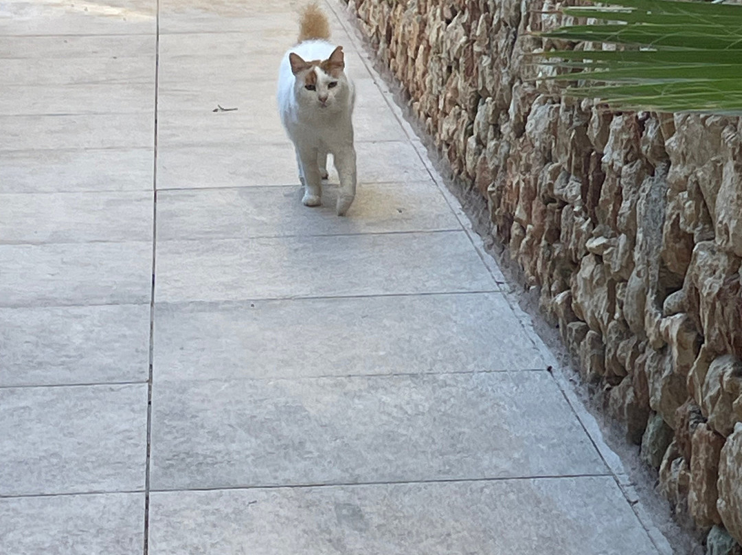 玛丽蒂姆安东尼水疗酒店主图