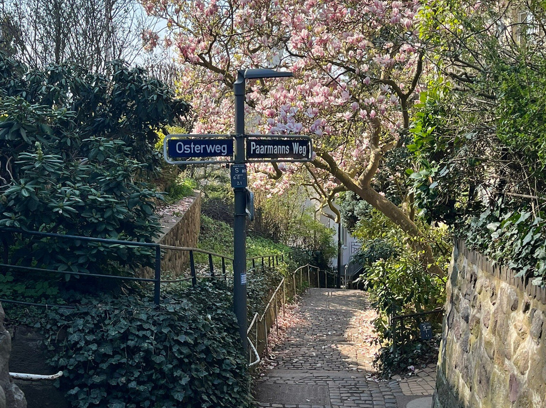 Treppenviertel Blankenese-汉堡必去景点