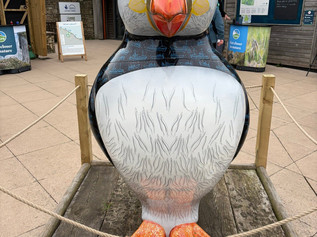 RSPB Bempton Cliffs-Bempton必去景点