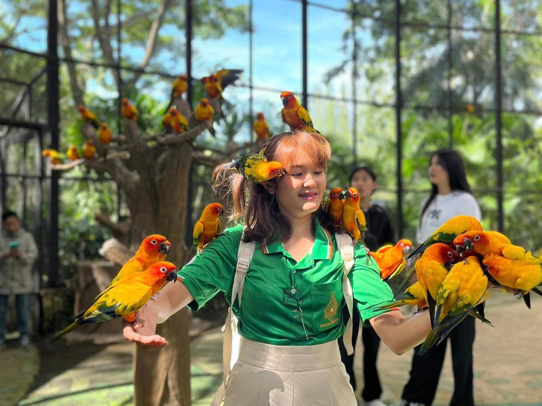 Veneto-愿拼县必去景点