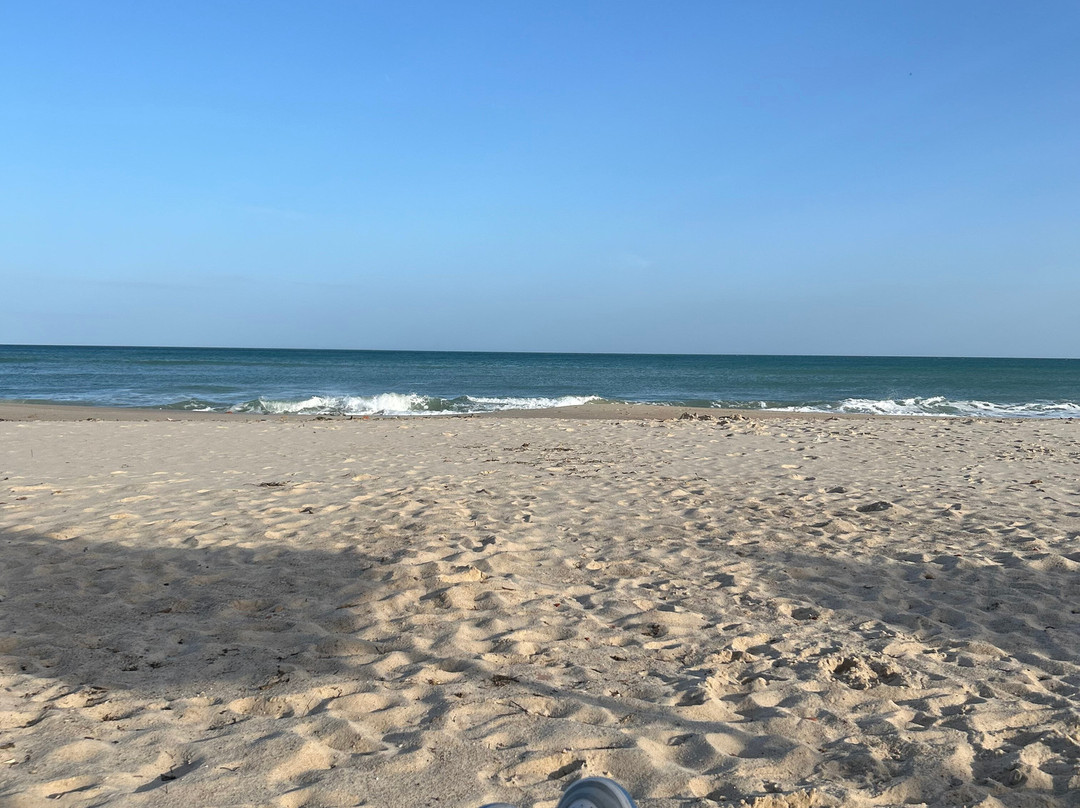 Nahrawess Resort & Thalasso主图