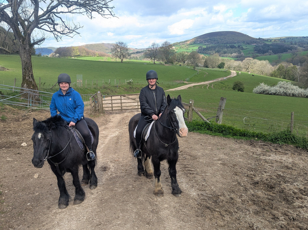 Bilsdale Riding Centre-Hawnby必去景点