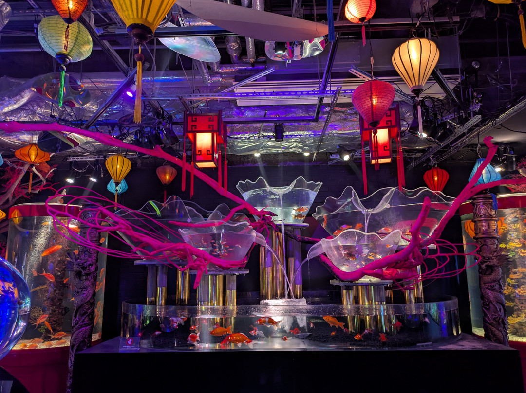 Uws Aquarium Ga Kyo