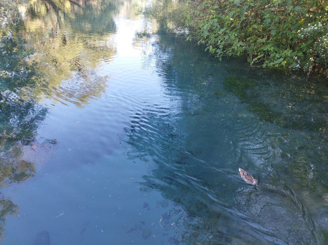 Parco del Grassano-San Salvatore Telesino必去景点