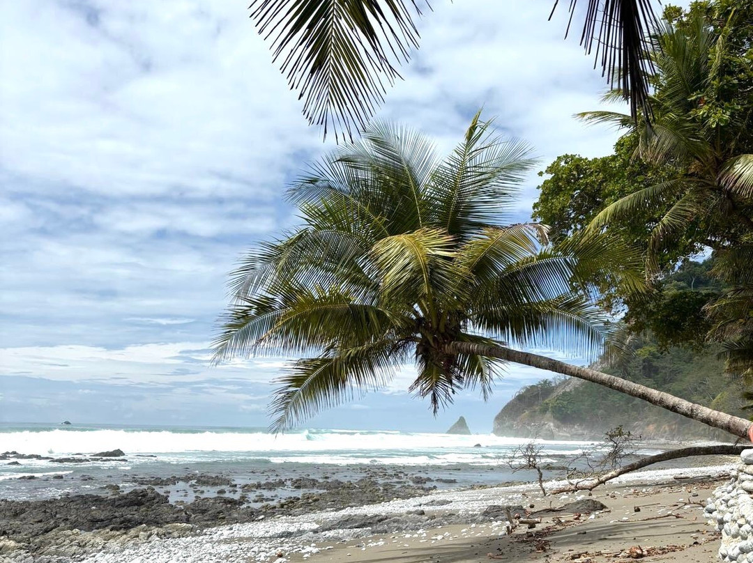 Bosque del Cabo Rain Forest Lodge主图