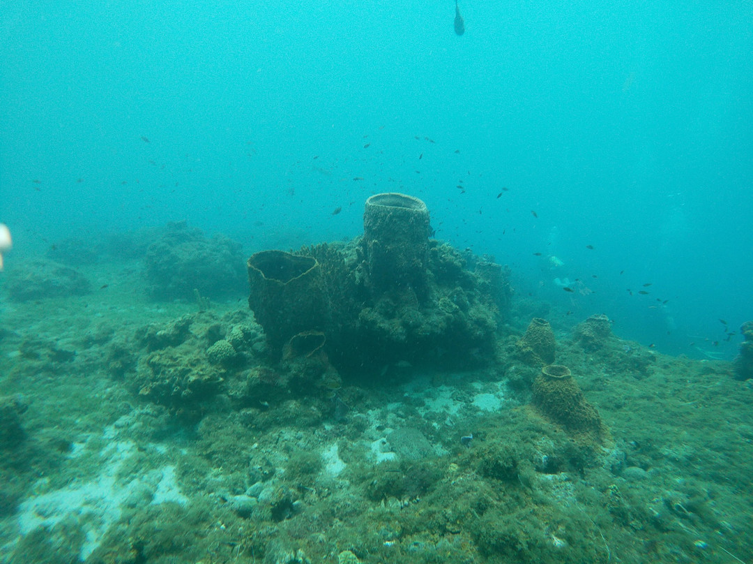Nature Island Dive-Soufriere必去景点