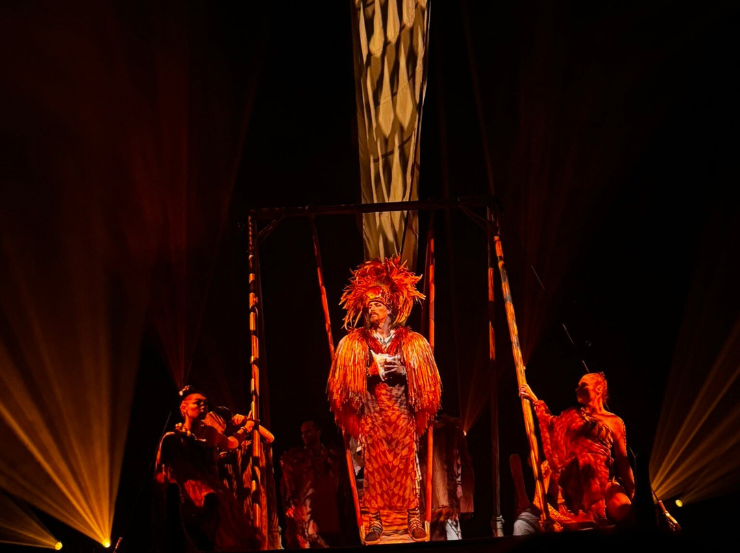 Cirque du Soleil 'Auana-火奴鲁鲁必去景点