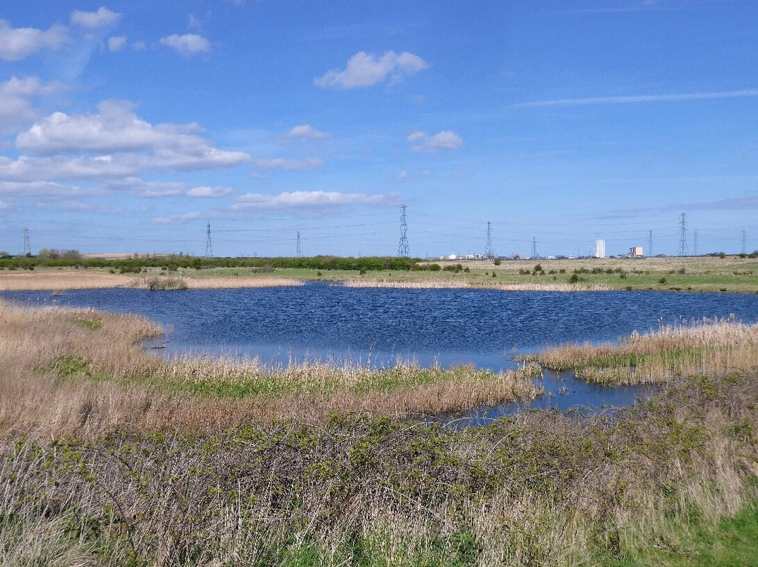 RSPB Saltholme-米德尔斯堡必去景点