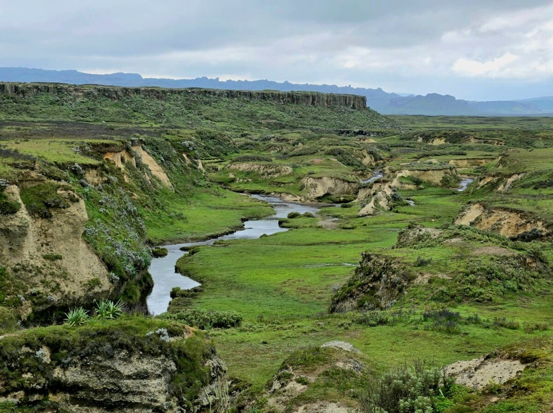 Bale Mountains Brilliant Tours-Goba必去景点