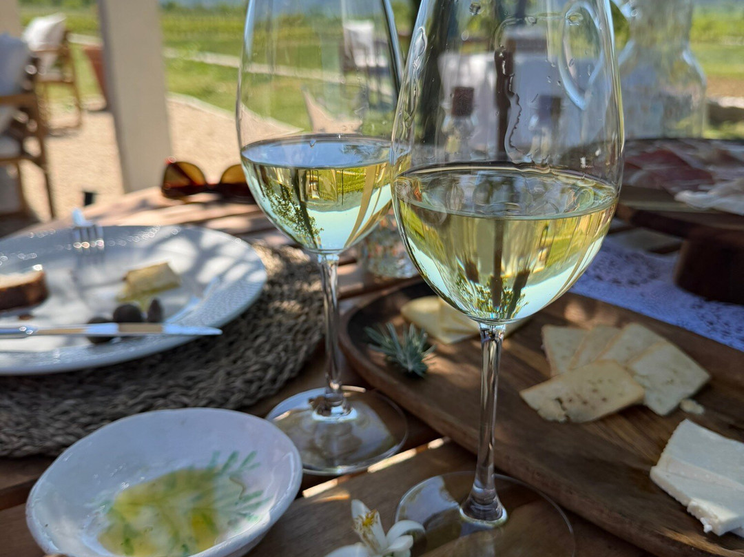 Karaman Winery-Konavle必去景点