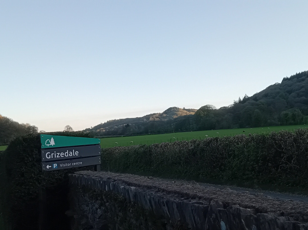 Grizedale Observatory-安布赛德必去景点