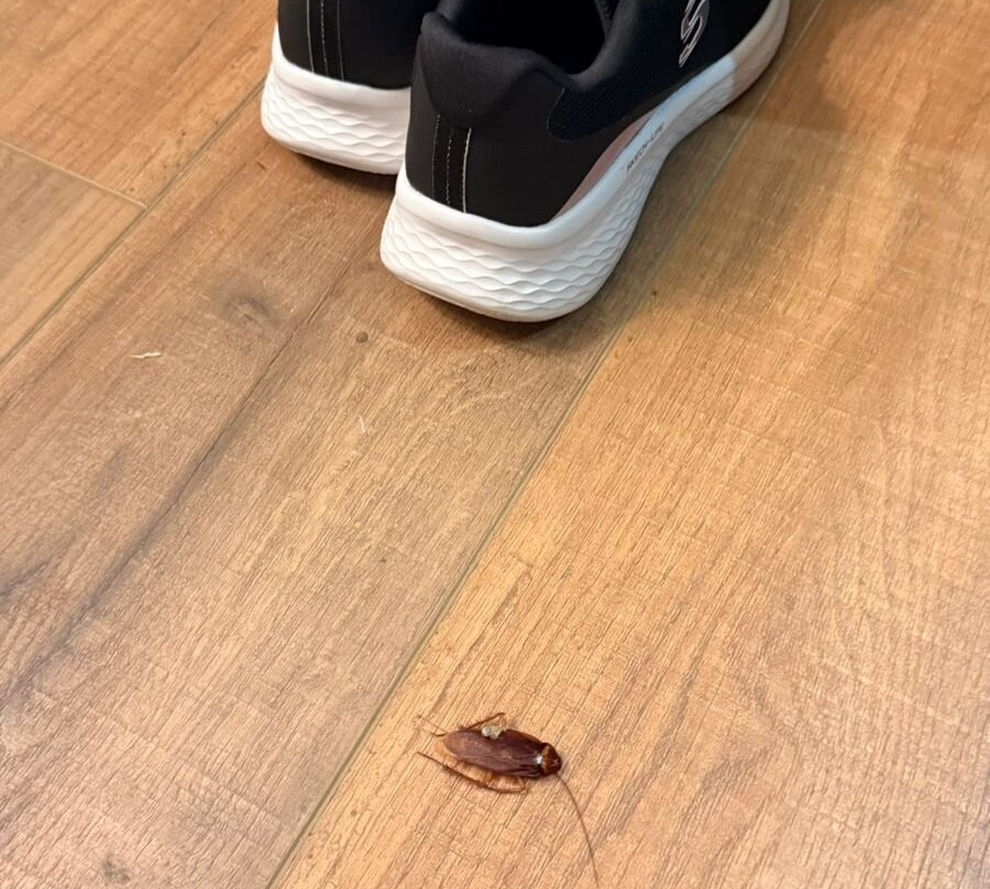 富尔纳斯精品 - 奥克坦富尔纳斯主图