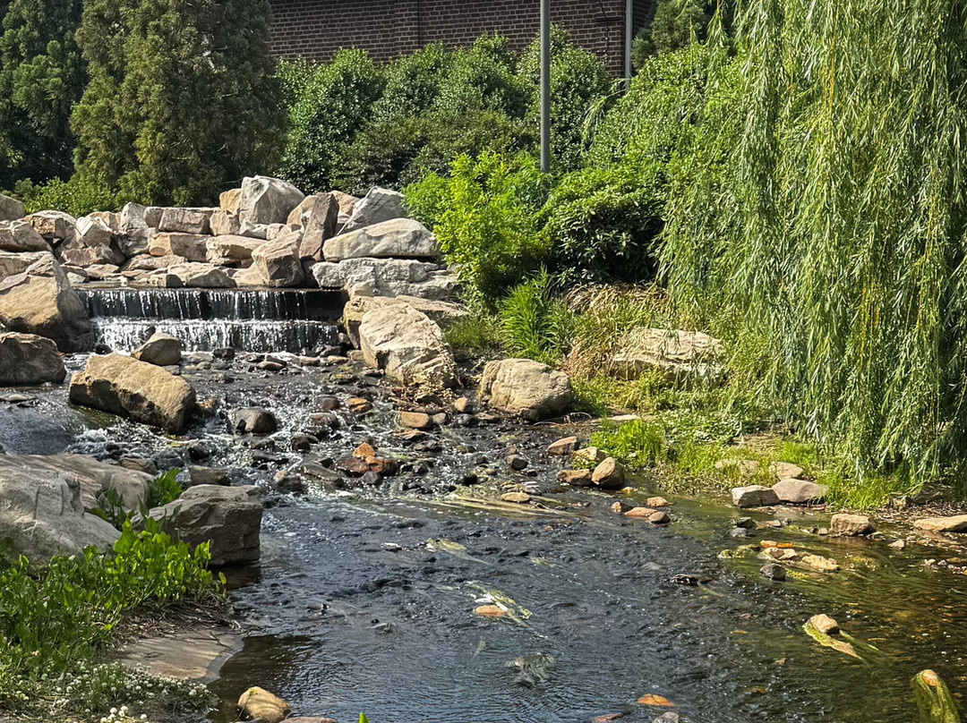 Downtown Cary Park-卡瑞必去景点