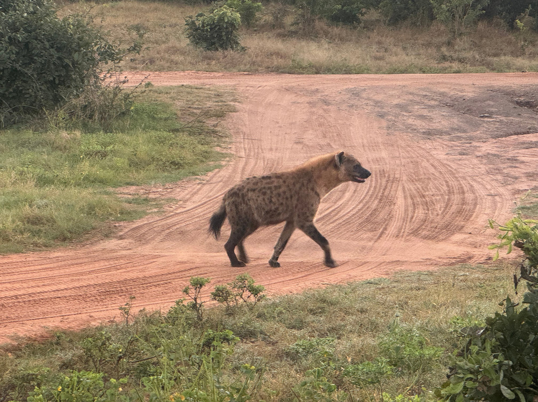 Africa's Best Adventures-开普敦必去景点