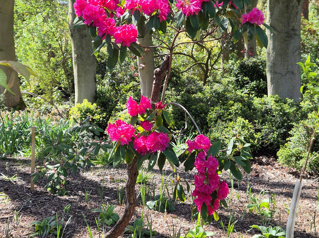 Newby Hall and Gardens-里彭必去景点