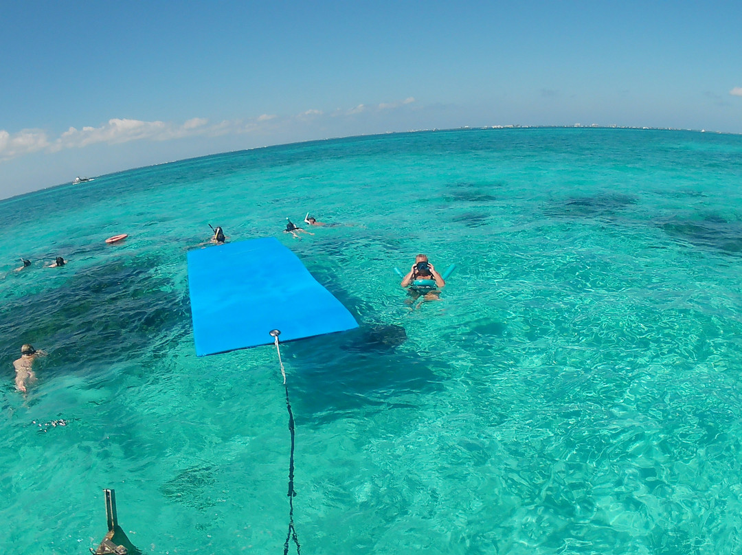 Stingray Sailing-大开曼岛必去景点