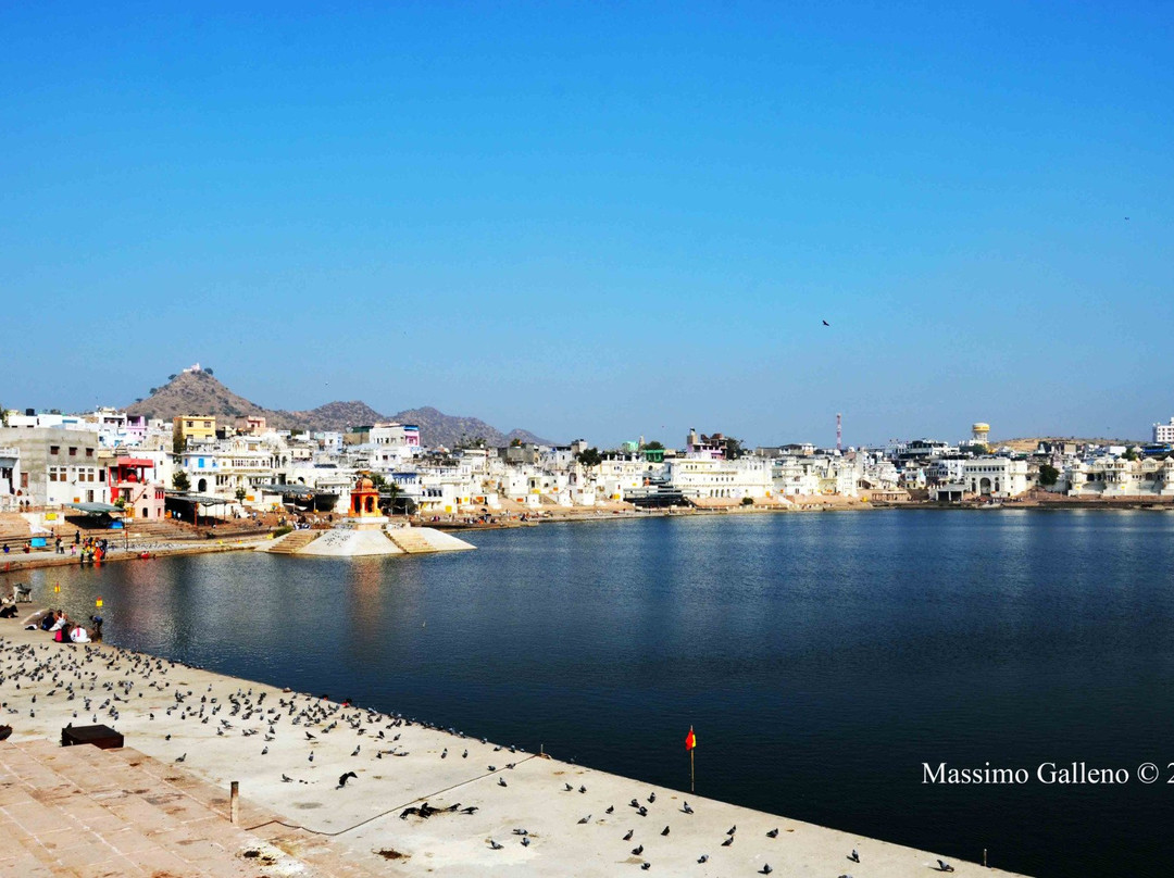 Pushkar Lake-普希卡必去景点