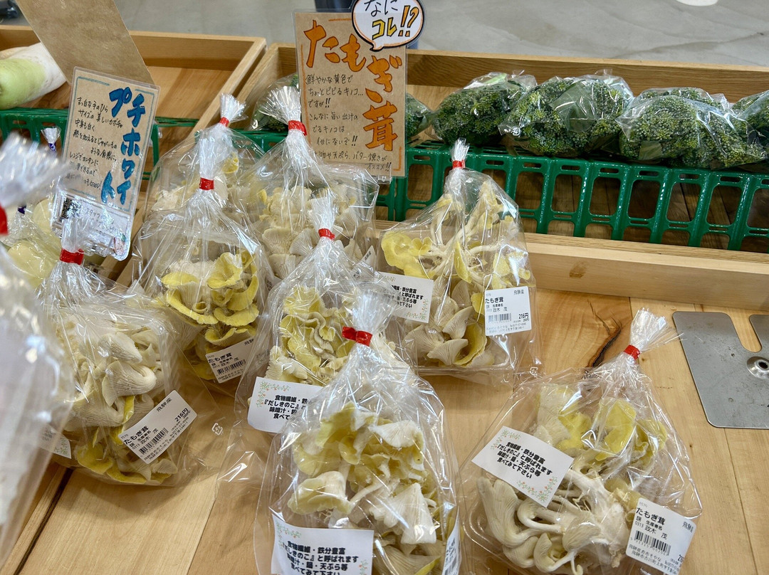 Michi-no-Eki - Hida Furukawa Alpes-飞弹市必去景点