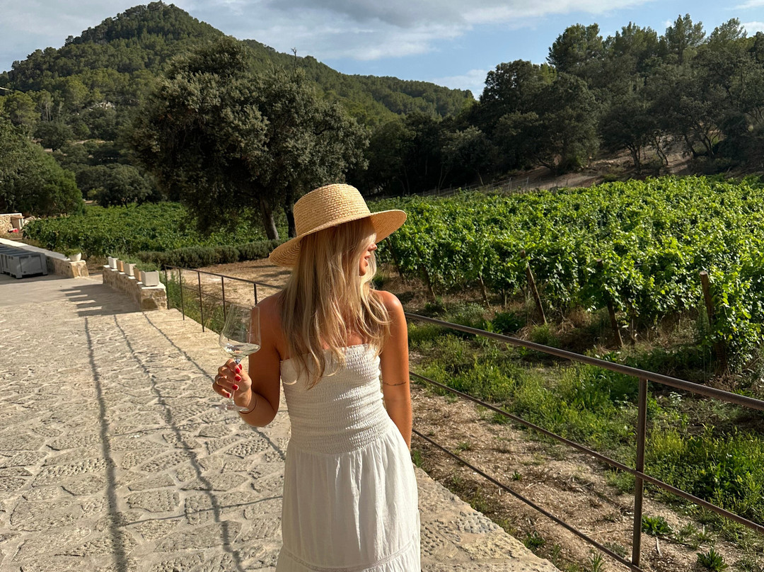 Bodega Terra Ión-Andratx必去景点