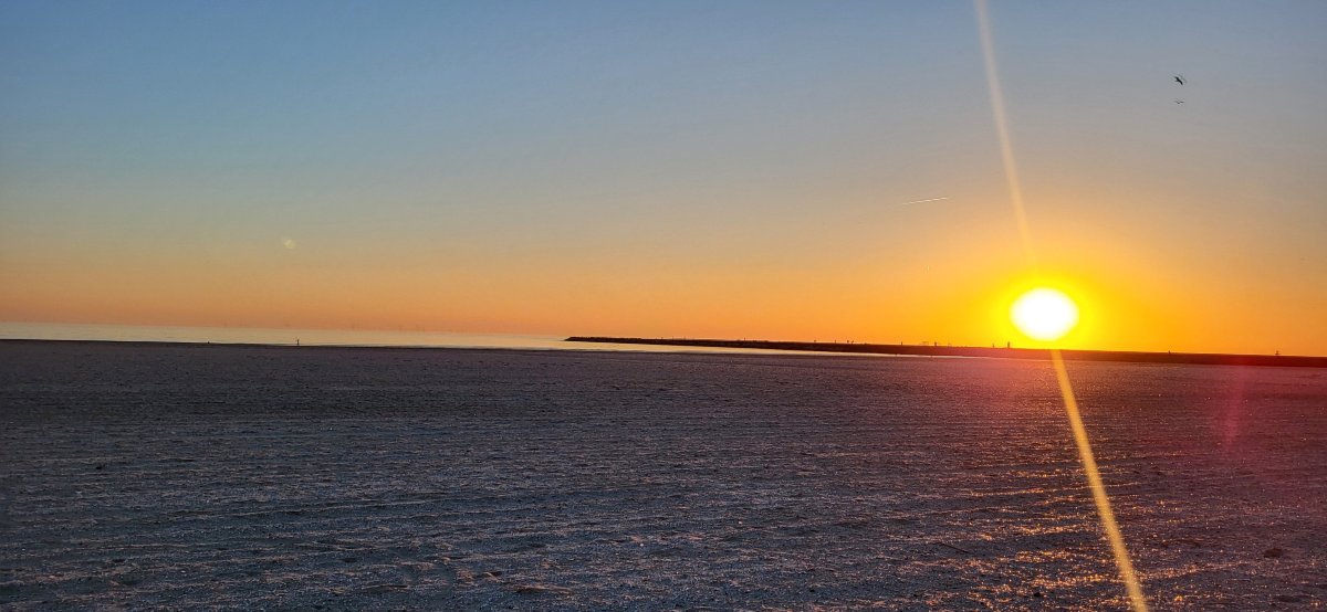 Basecamp IJmuiden-旅行者