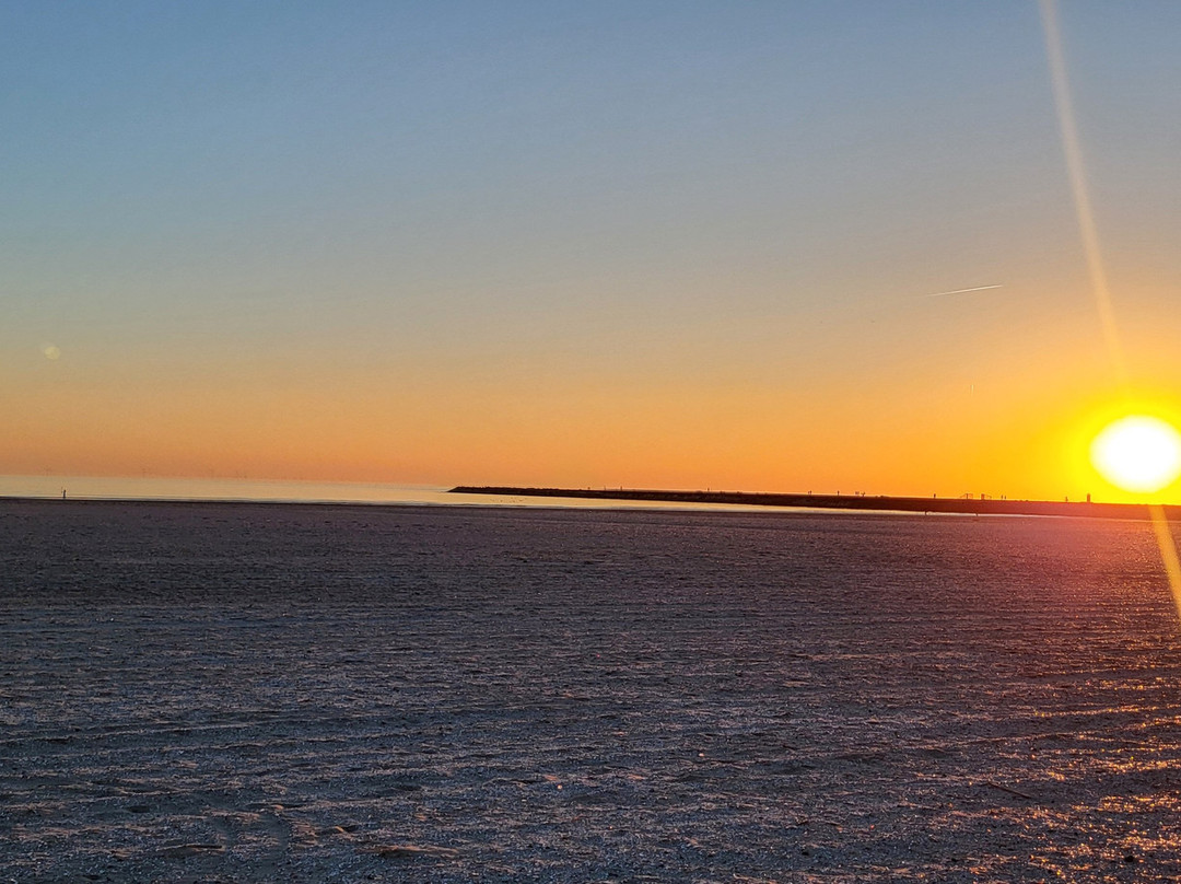 Basecamp IJmuiden主图