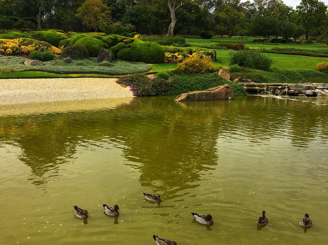 Cowra Japanese Garden & Cultural Centre-考兰必去景点