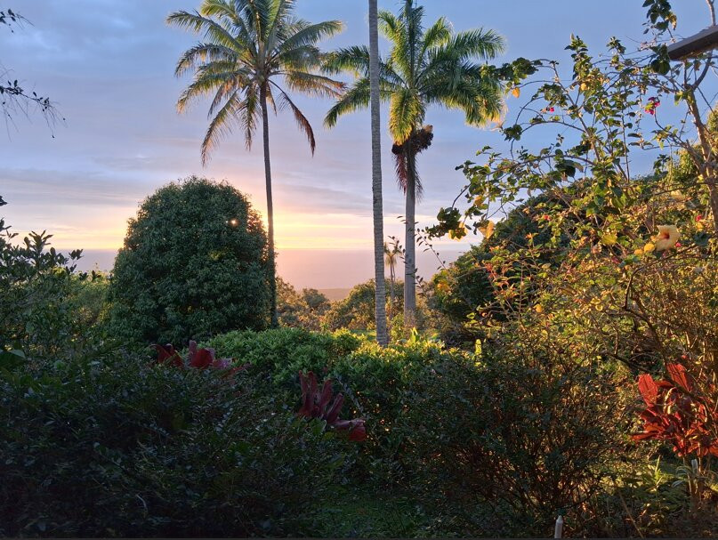 Kane Plantation Guesthouse主图
