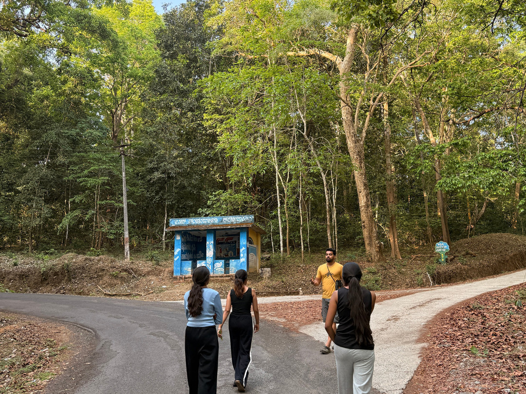 Amara Homestay, Dandeli主图