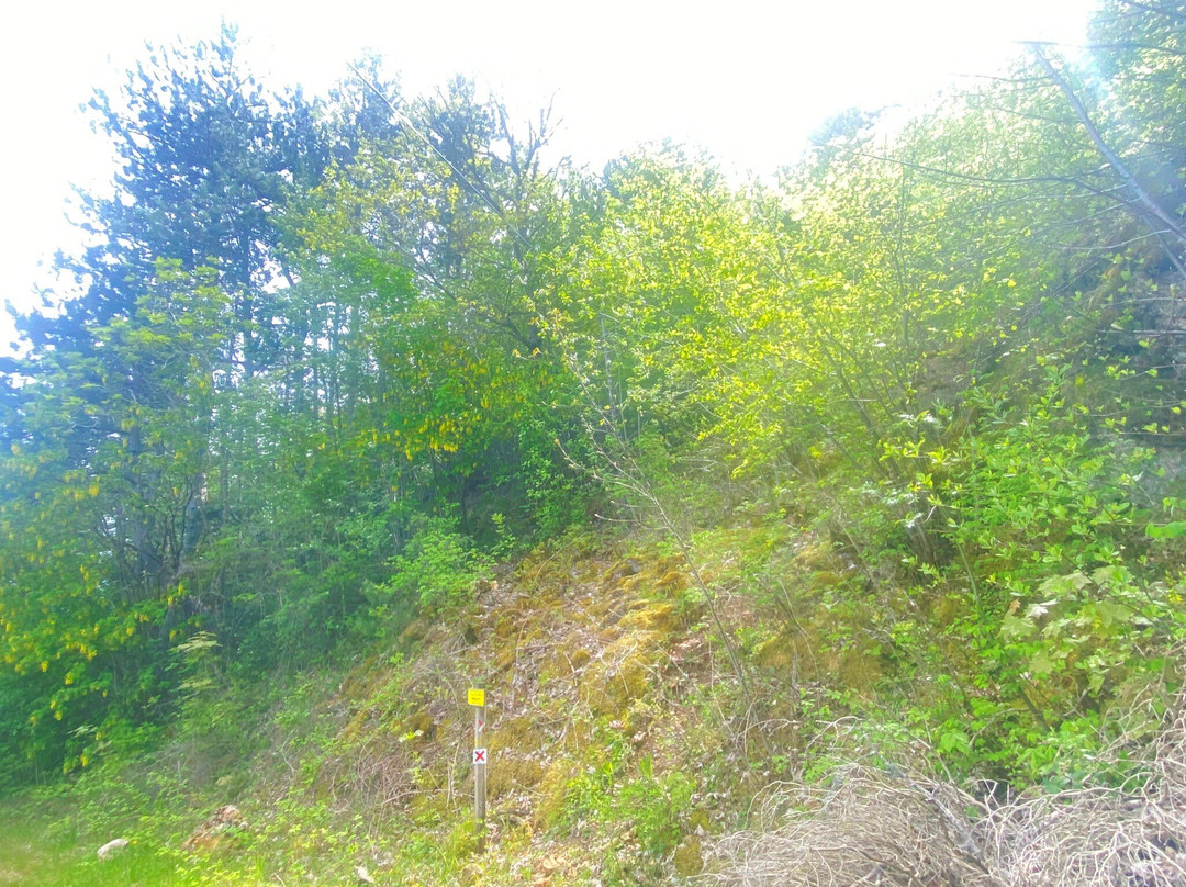 Chemin Urbain V-芒德必去景点