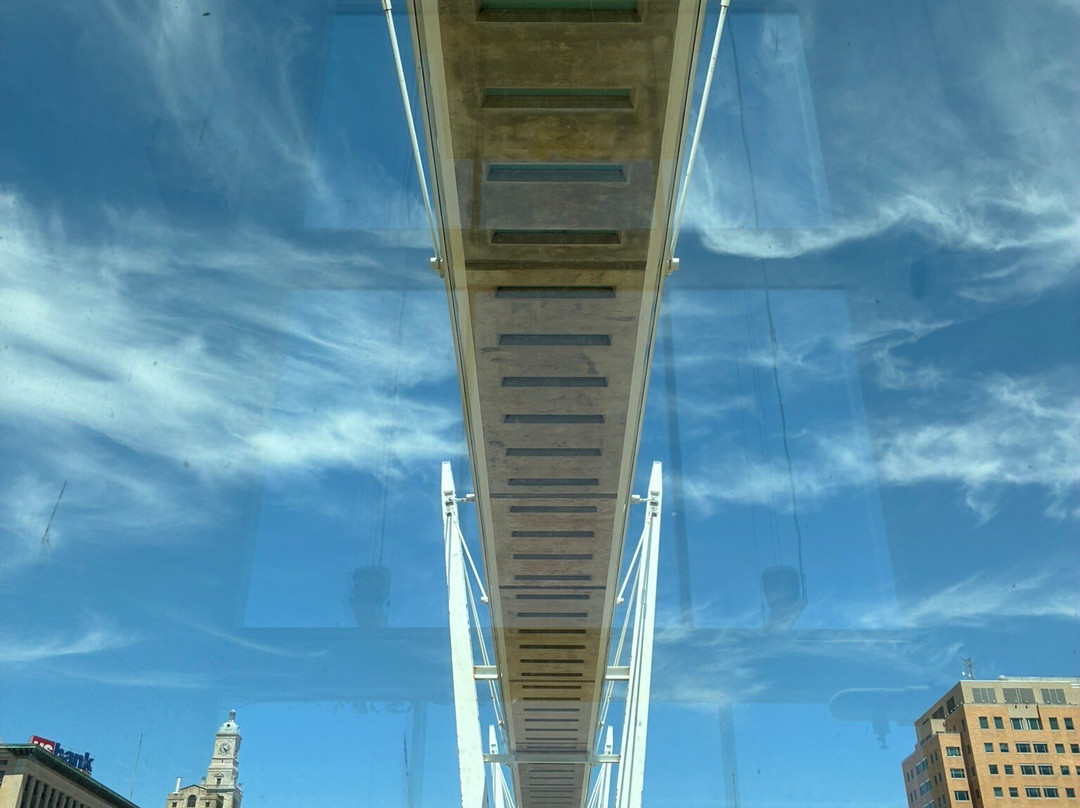 Davenport Skybridge-达文波特必去景点